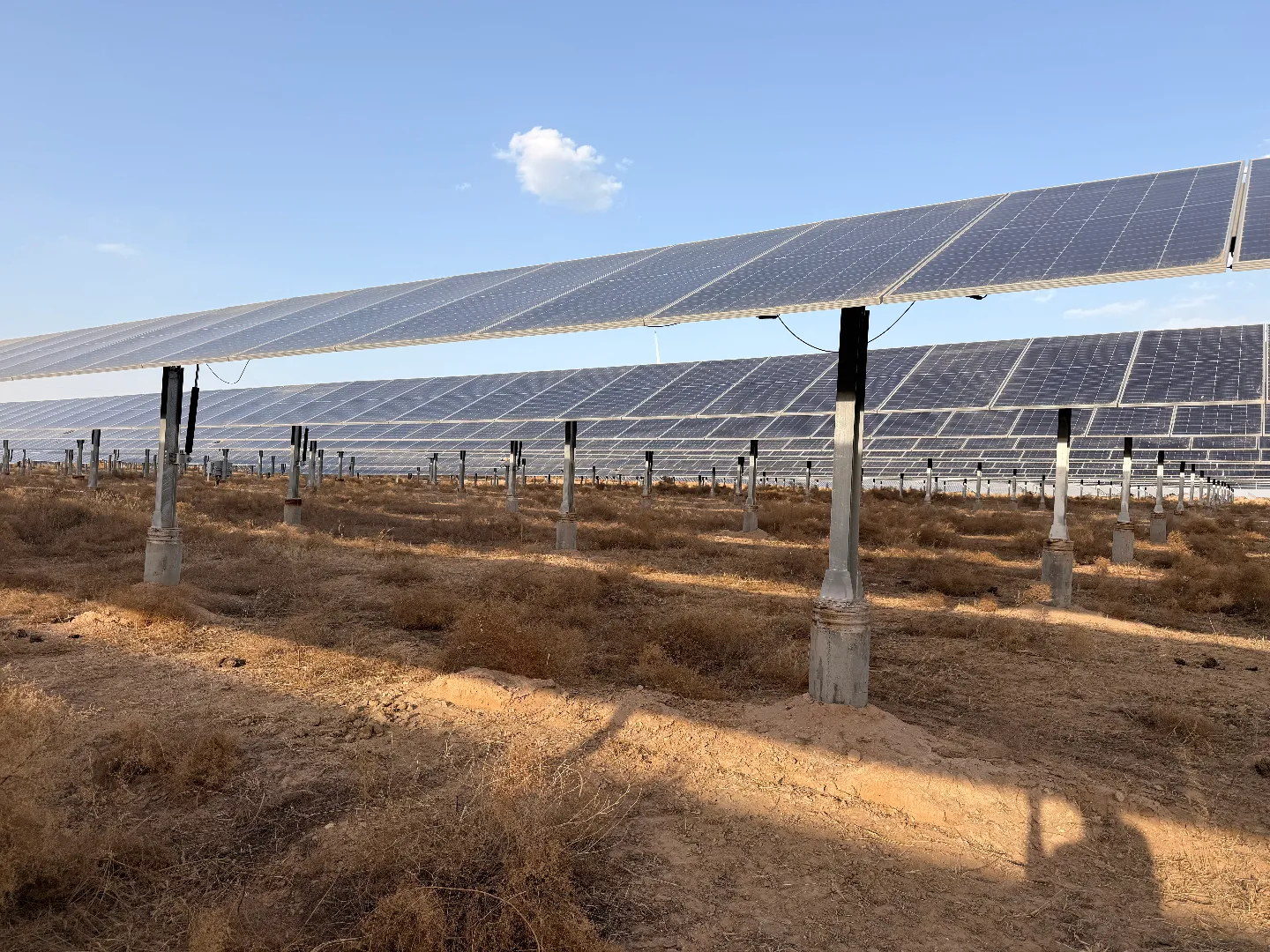 Single-axis solar tracker rows at a dry field project site