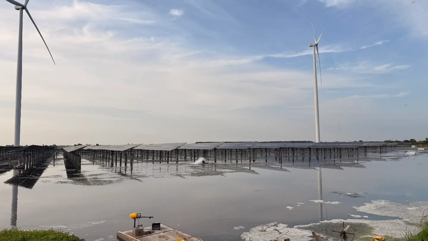 Wide solar tracker aquaculture project with wind turbines