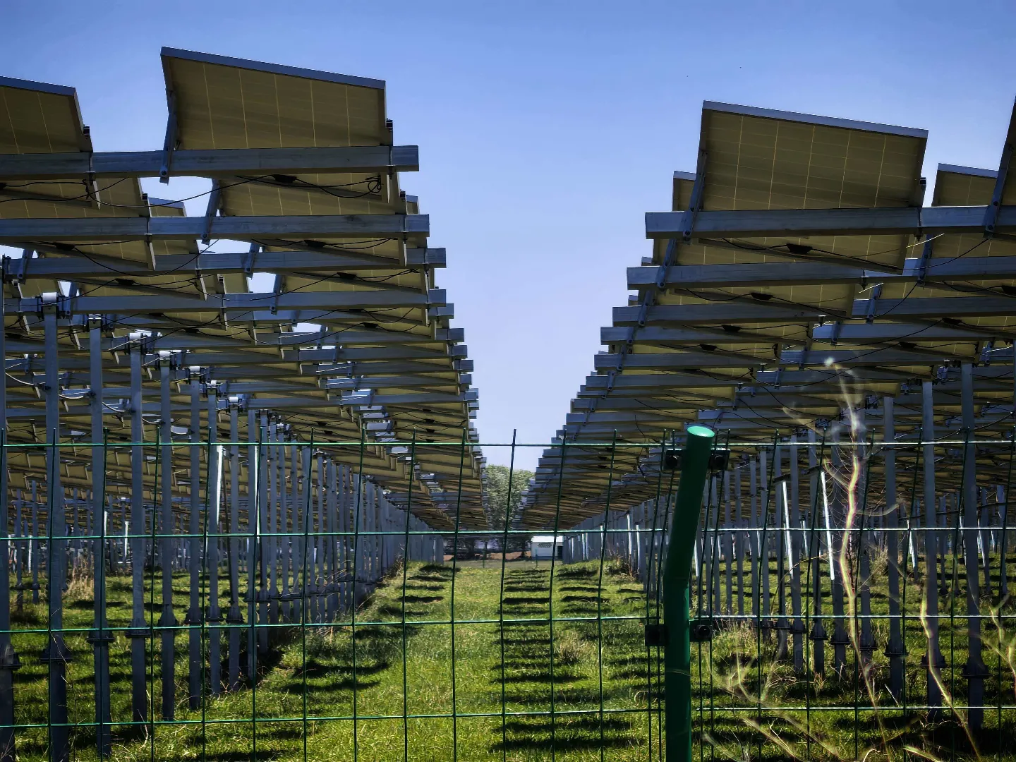 View beneath solar tracker arrays showing posts and support structure