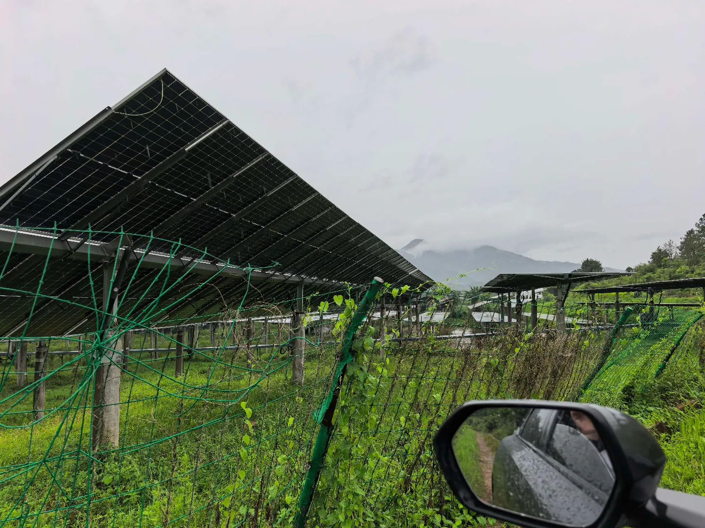 Solar tracker rows installed at a green mountain project site