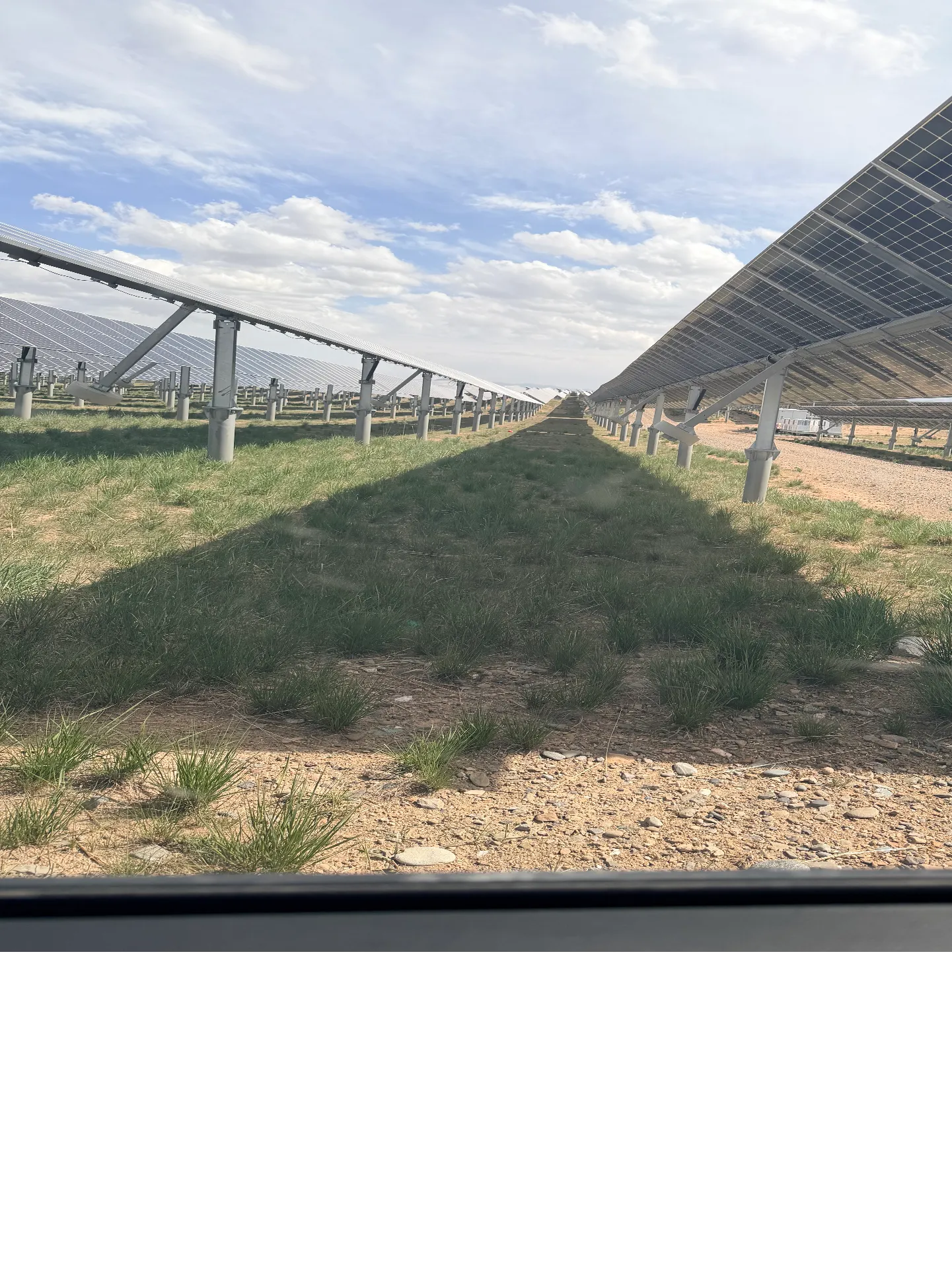 Long utility-scale solar tracker rows across a field project
